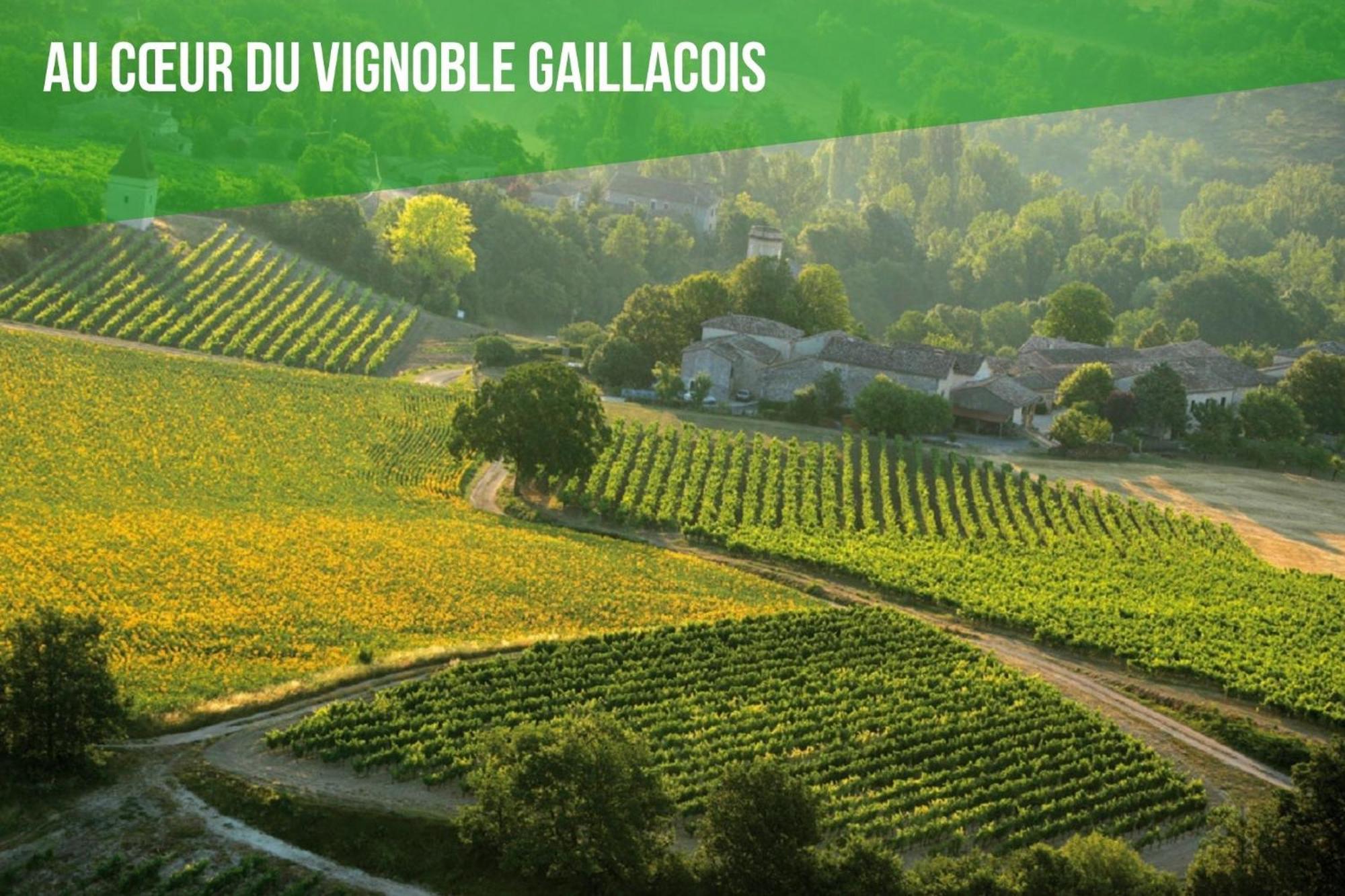 Le Cottage Nature Vigne Rouge Sauna Gaillac Entre Albi-Toulouse & Les Cottages Du Tarn Brens  Exterior foto