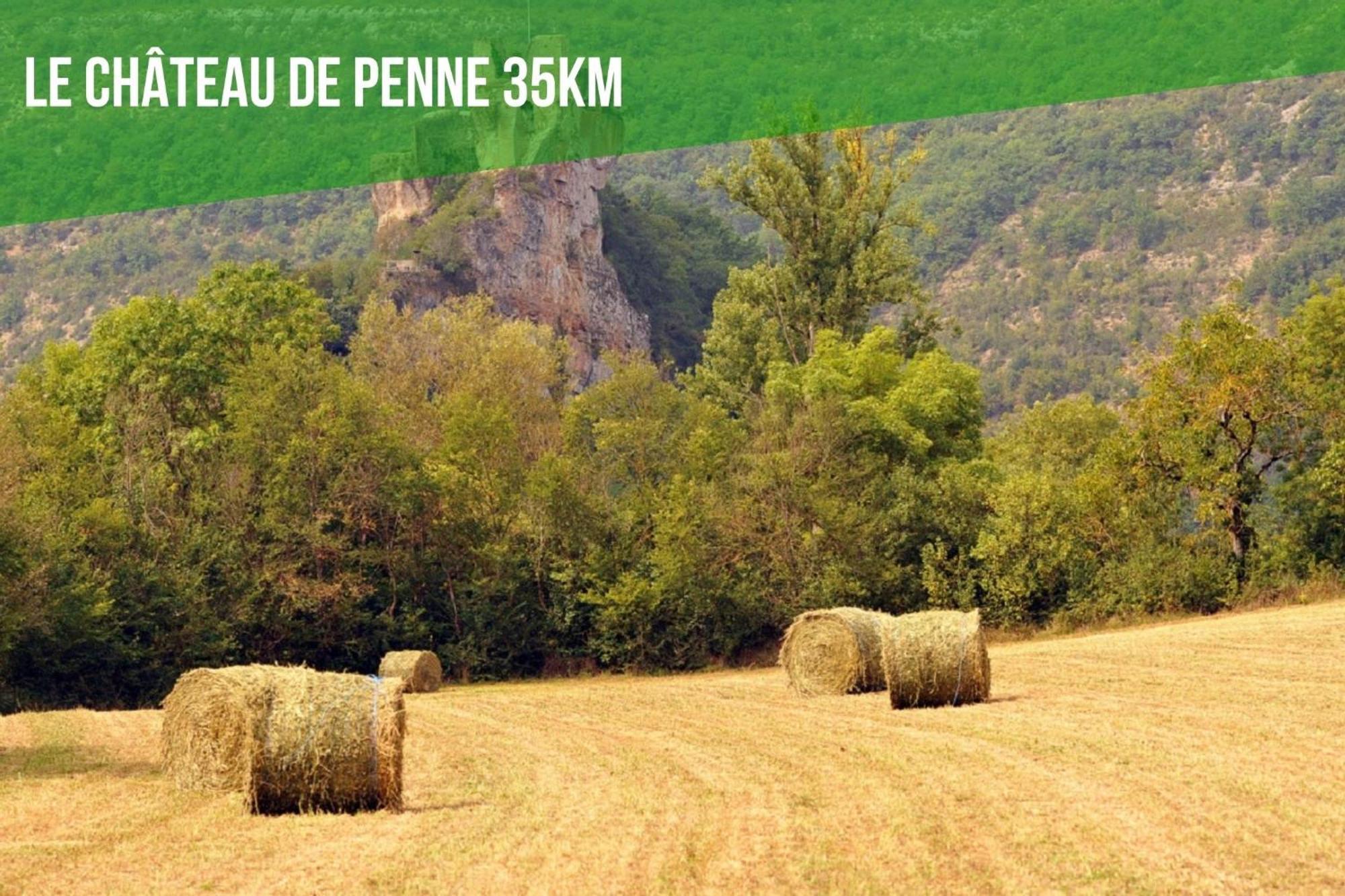 Le Cottage Nature Vigne Rouge Sauna Gaillac Entre Albi-Toulouse & Les Cottages Du Tarn Brens  Exterior foto